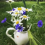 Pod Laznemi Климковице